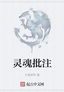 靈魂批注