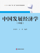 中国发展经济学（中级）在线阅读