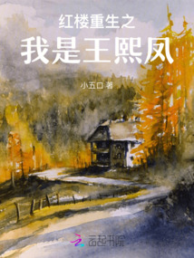 紅樓重生之我是王熙鳳
