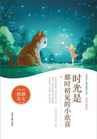 青春美文精品集萃丛书·时光不老系列:时光是那时初见的小欢喜在线阅读
