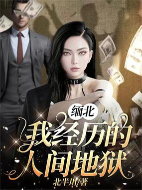 缅北，我经历的人间地狱在线阅读
