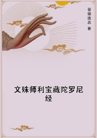 文殊师利宝藏陀罗尼经在线阅读