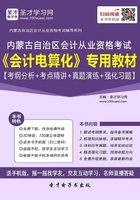 内蒙古自治区会计从业资格考试《会计电算化》专用教材【考纲分析＋考点精讲＋真题演练＋强化习题】在线阅读