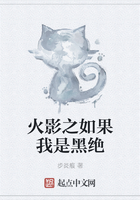 火影之如果我是黑绝在线阅读