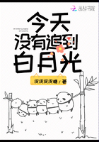 今天沒有追到白月光在線閱讀