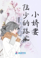 陆少的路痴小娇妻在线阅读
