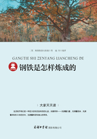 钢铁是怎样炼成的