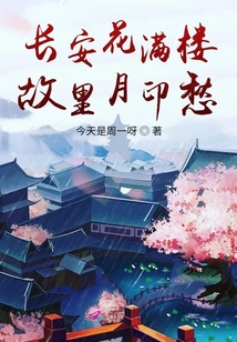 長安花滿樓故里月印愁