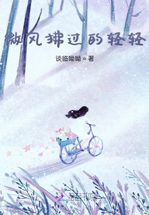 微風(fēng)拂過的輕輕