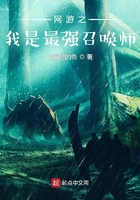 网游之我是最强召唤师在线阅读