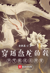 穿越盘龙的我不可能这么厉害 cover