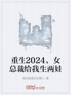 重生2024，女总裁给我生两娃