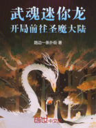 武魂迷你龙,开局前往圣魔大陆在线阅读