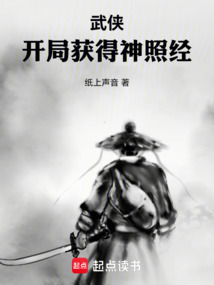 武侠：开局获得神照经在线阅读