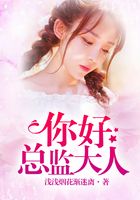 你好，總監大人在線閱讀