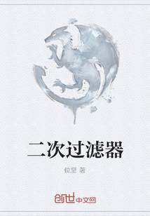 二次過濾器