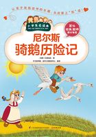 尼尔斯骑鹅历险记（小学生爱读本）在线阅读