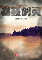 巋巍劍靈在線閱讀