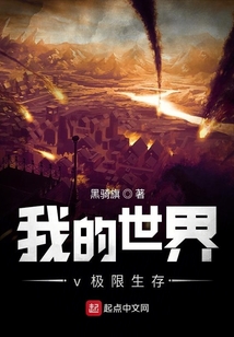 我的世界v極限生存