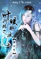 网游之叶暖醉流光