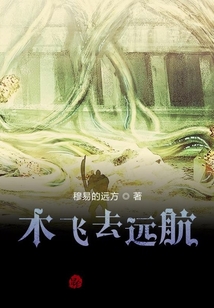 木飞去远航