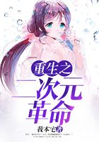 重生之二次元革命