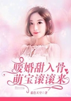 暖婚甜入骨：萌寶滾滾來(lái)在線閱讀