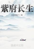 紫府长生