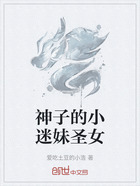 神子的小迷妹圣女在線閱讀