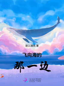 飛向海的那一邊