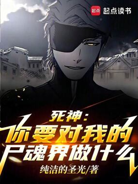 死神：你要对我的尸魂界做什么？在线阅读