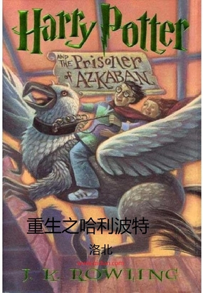 重生哈利波特在线阅读