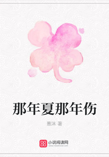 那年夏那年傷
