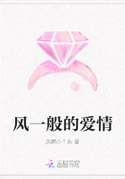 風一般的愛情在線閱讀