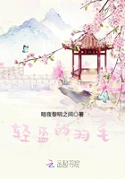 轻盈的羽毛