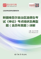 2020年新疆维吾尔自治区选调生考试《申论》考点精讲及典型题（含历年真题）详解