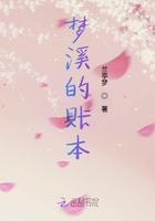 夢溪的賬本在線閱讀