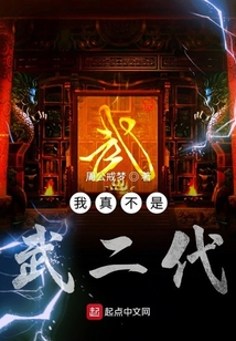 我真不是武二代
