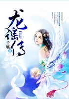 龙谣传