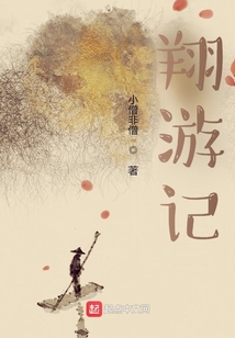翔游記