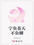 寧負(fù)蒼天不負(fù)卿在線閱讀