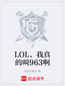 LOL,我真的叫963啊
