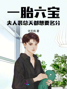 一胎六宝:夫人裴总天都想要名分在线阅读