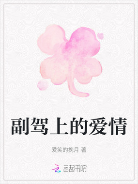 副驾上的爱情在线阅读