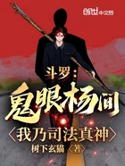 斗罗:鬼眼杨间,我乃司法真神在线阅读