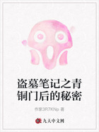 盗墓笔记之青铜门后的秘密在线阅读