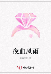 夜血风雨
