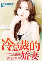總裁的外遇在線閱讀