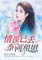 情深已去，奈何相思在線閱讀
