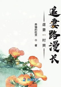 虐妻一時(shí)爽追妻路漫長(zhǎng)